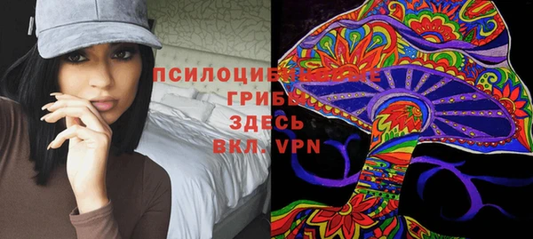 тгк Горняк