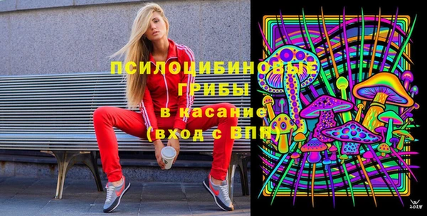 соль ск Горнозаводск