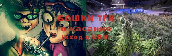 тгк Горняк