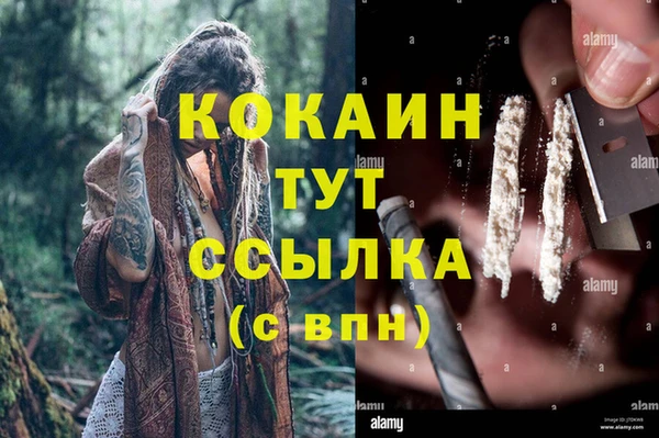 соль ск Горнозаводск
